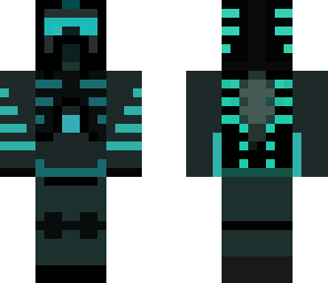 ssw soldier