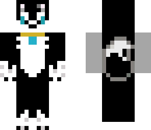 black and white dog