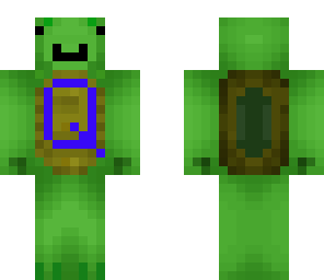 quinnykat turtle