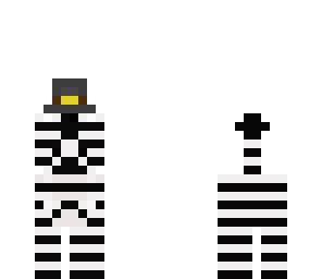 zebra with a hat