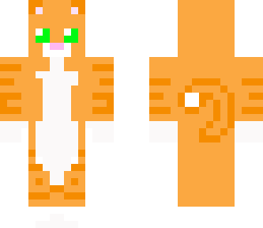 orange kitty
