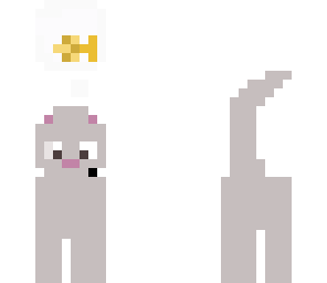 grey cat