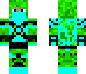 the ninja