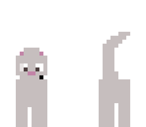 grey cat