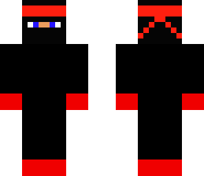the black ninja
