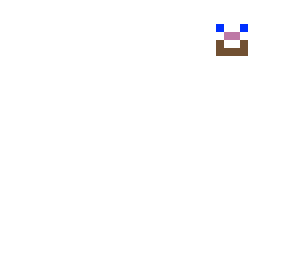 floating steve face