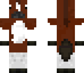 paint horse