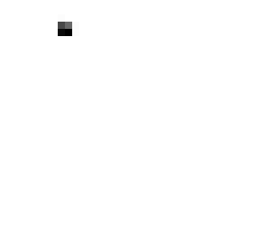 head white
