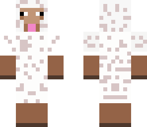 sheep 