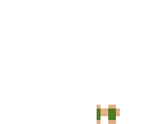 dwarf