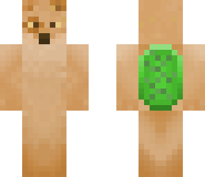 turtlewolf base 2