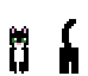 new updated kitty skin