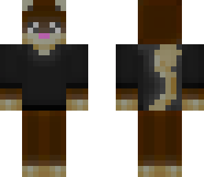 cat with a jumper