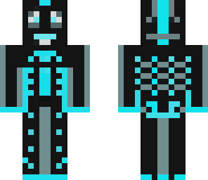 the programmer