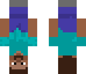 upside down steve
