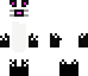 siamese cat
