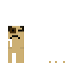 puga standing up