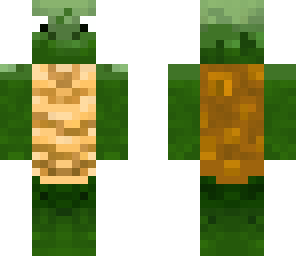 turtle
