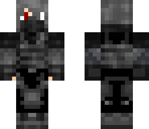 the ninja