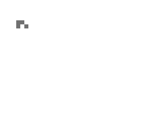 spy