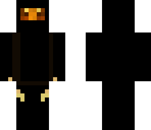 ninjaminer