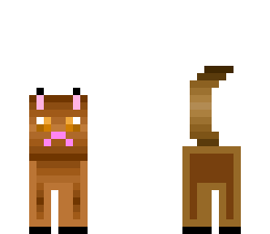 autum cat