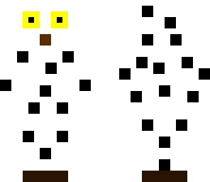 owl