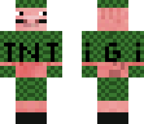 tntpig army person