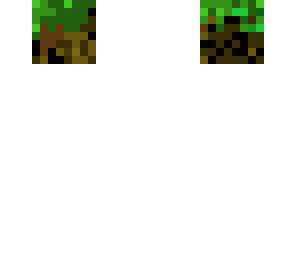dirt