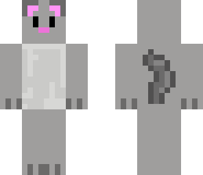 kitty cat
