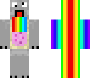 nyan cat man