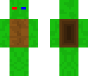 turtle helmet thing