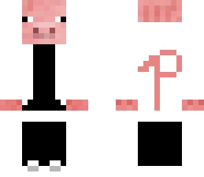 cool pig