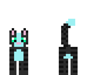 black cat