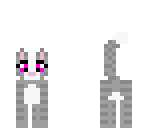 kitty