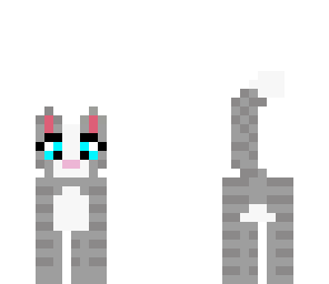 grey cat- animal collection