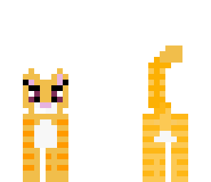 kitty