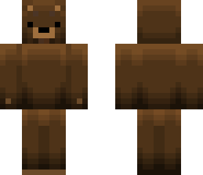 regular bear