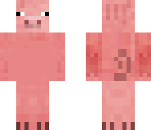 pig