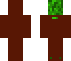 tree man
