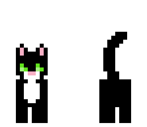black cat 