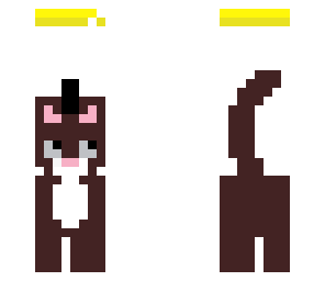 7 lives cat