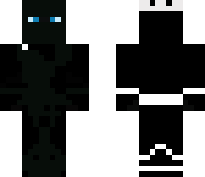 stealth ninja