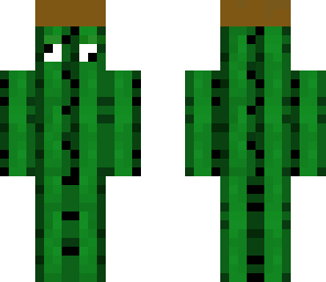 derpy cactus 2