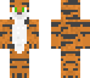 gray tiger