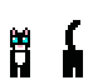 black cat