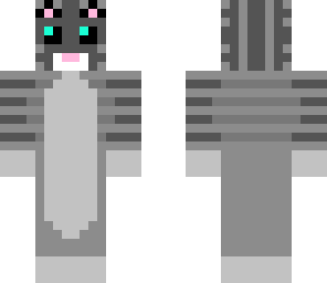 cute grey kitty fixed