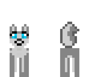 siberian husky
