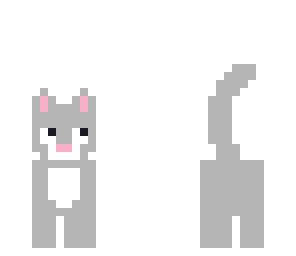 cute cat