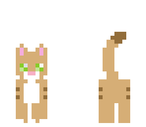kitty cat 